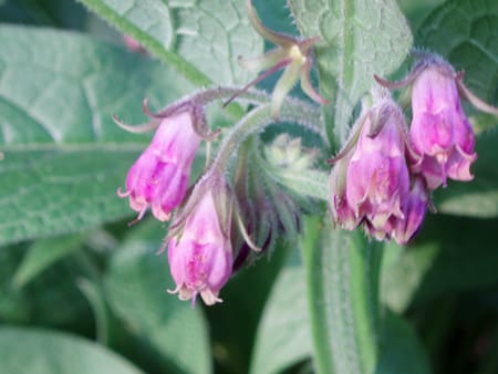 P4240235 2