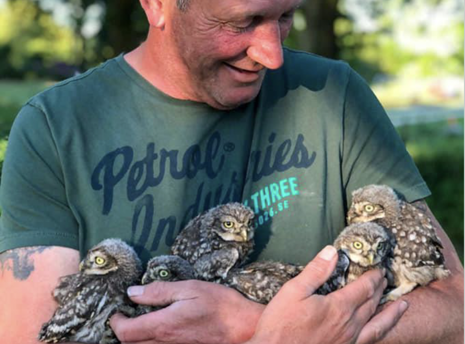 Jaarverslag 2021 Steenuilenwerkgroepen DRENTHE