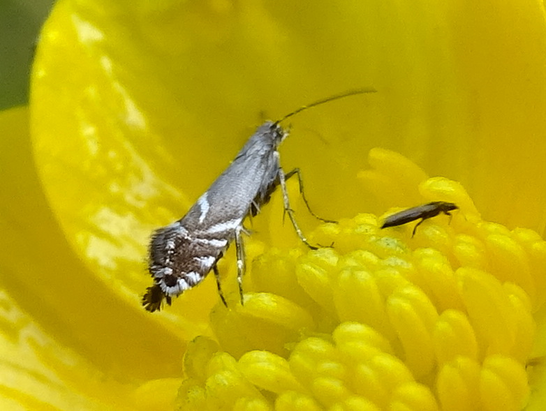 Excursie biodiversiteit