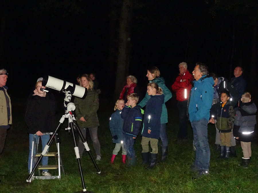 Faliebergbos Nacht van de Nacht