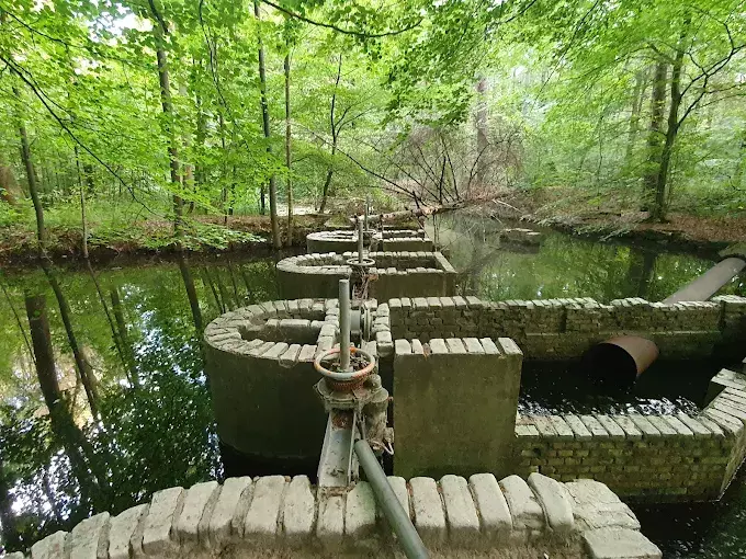 Dagexcursie Waterloopbos in NO-polder en Paddenstoelen