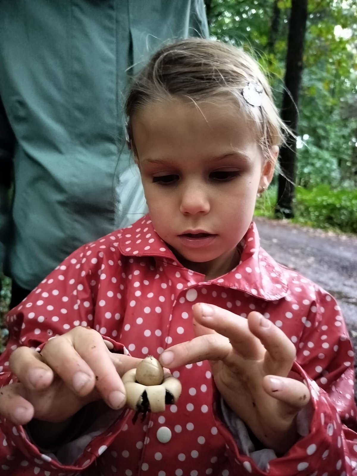Paddenstoelenexcursie Faliebergbos