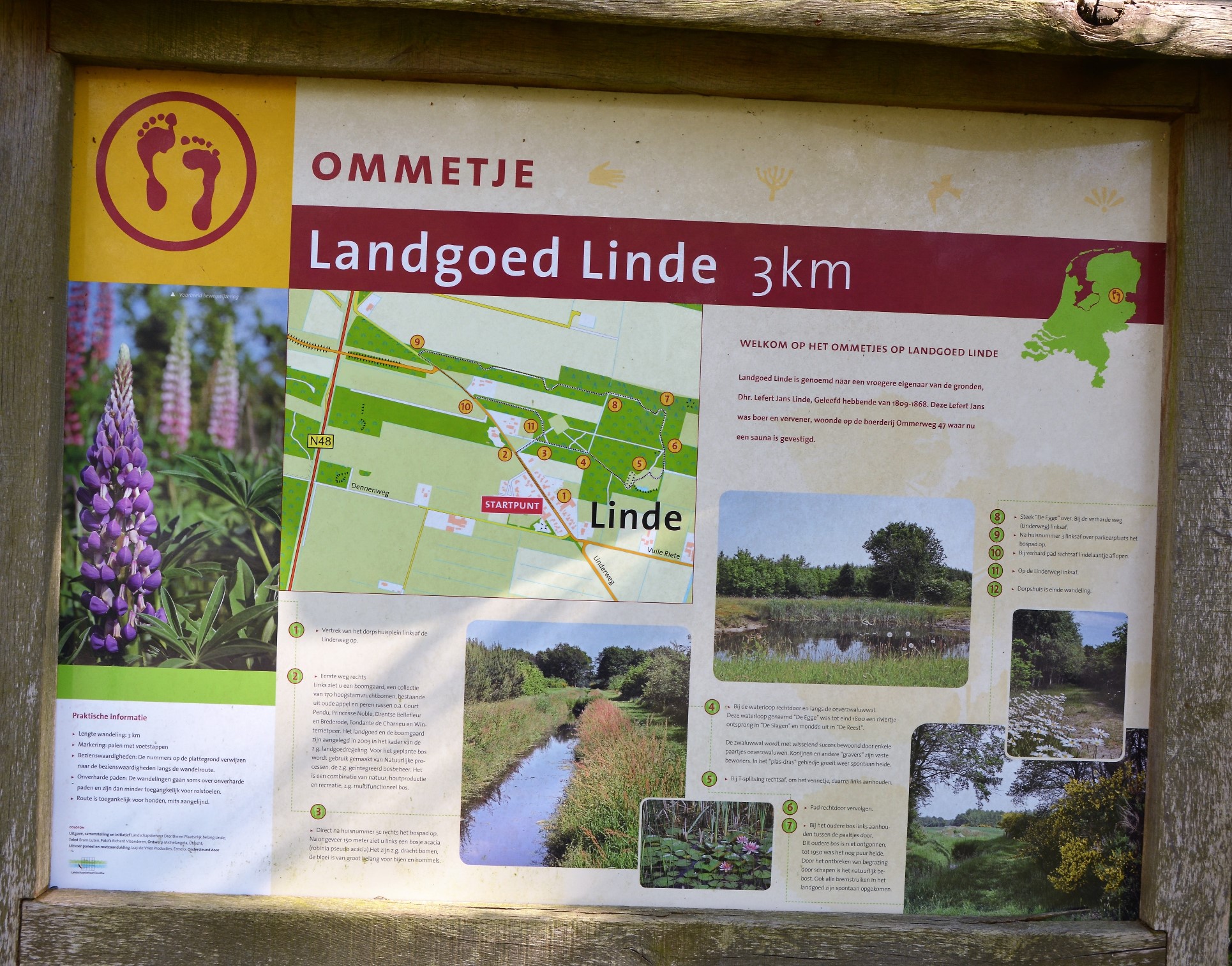 Lentewandeling over Landgoed Linde
