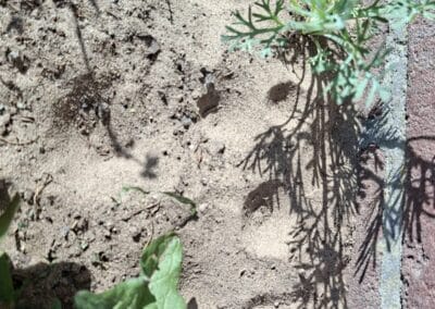1 putjes in het zand I.Ballast